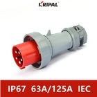IP67 तीन चरण 63A 125A 380V औद्योगिक प्लग और सॉकेट IEC मानक: