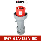 IP67 तीन चरण 63A 125A 380V औद्योगिक प्लग और सॉकेट IEC मानक: