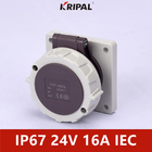 48V 32A IP67 3P लो वोल्टेज पैनल माउंटेड सॉकेट IEC स्टैंडर्ड:
